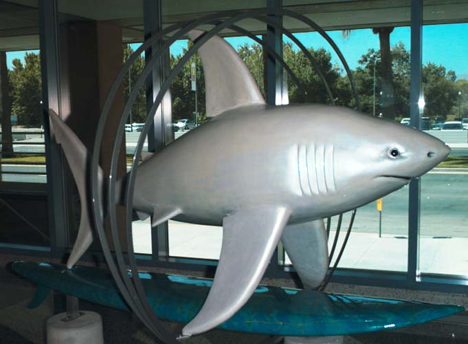 The Shark statue called A3RingSharkus