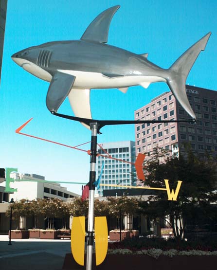 The Shark statue called N_E_W_S_Shark